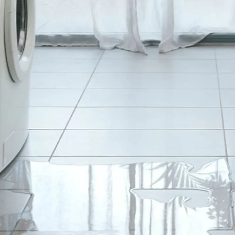 Appliance Leak Cleanup in Russell County, KS
