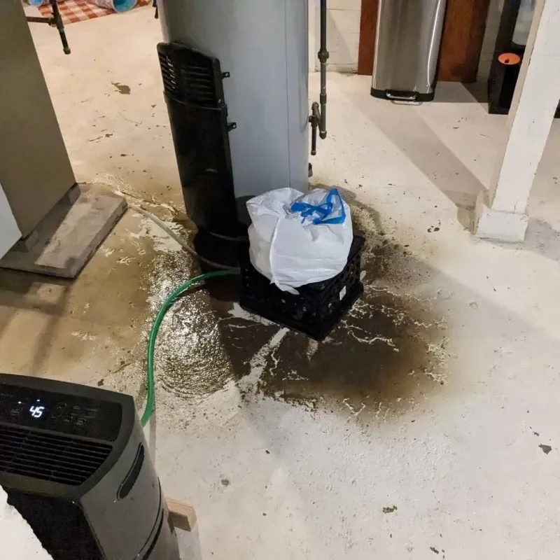 Sewage Backup Cleanup Service in Russell County, KS